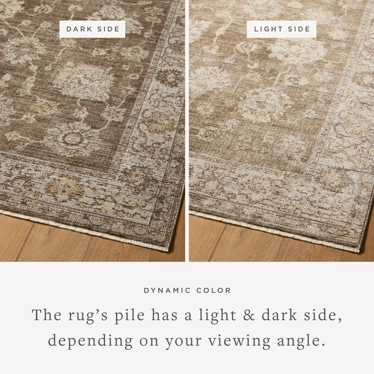 PRL-01 BARK / IVORY | Loloi Rugs