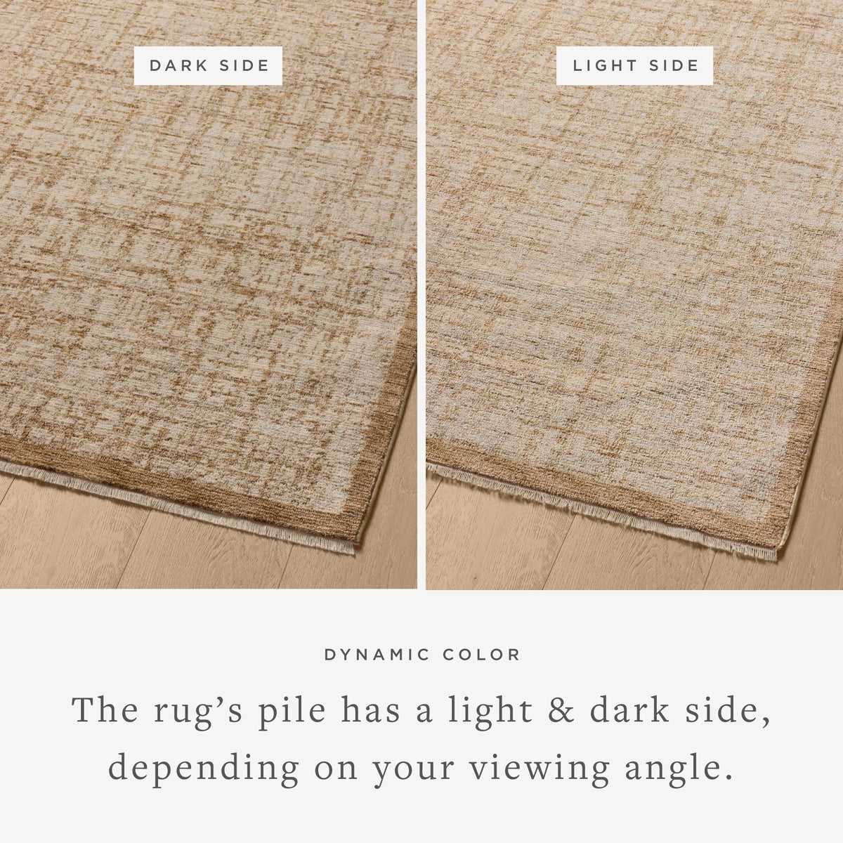 WIT-01 SPICE / BONE | Loloi Rugs