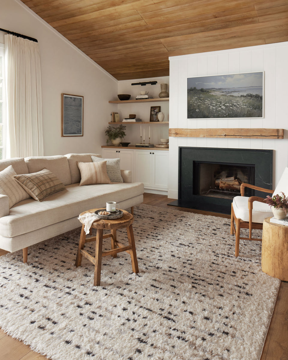 AMI-03 AR IVORY / MULTI | Loloi Rugs