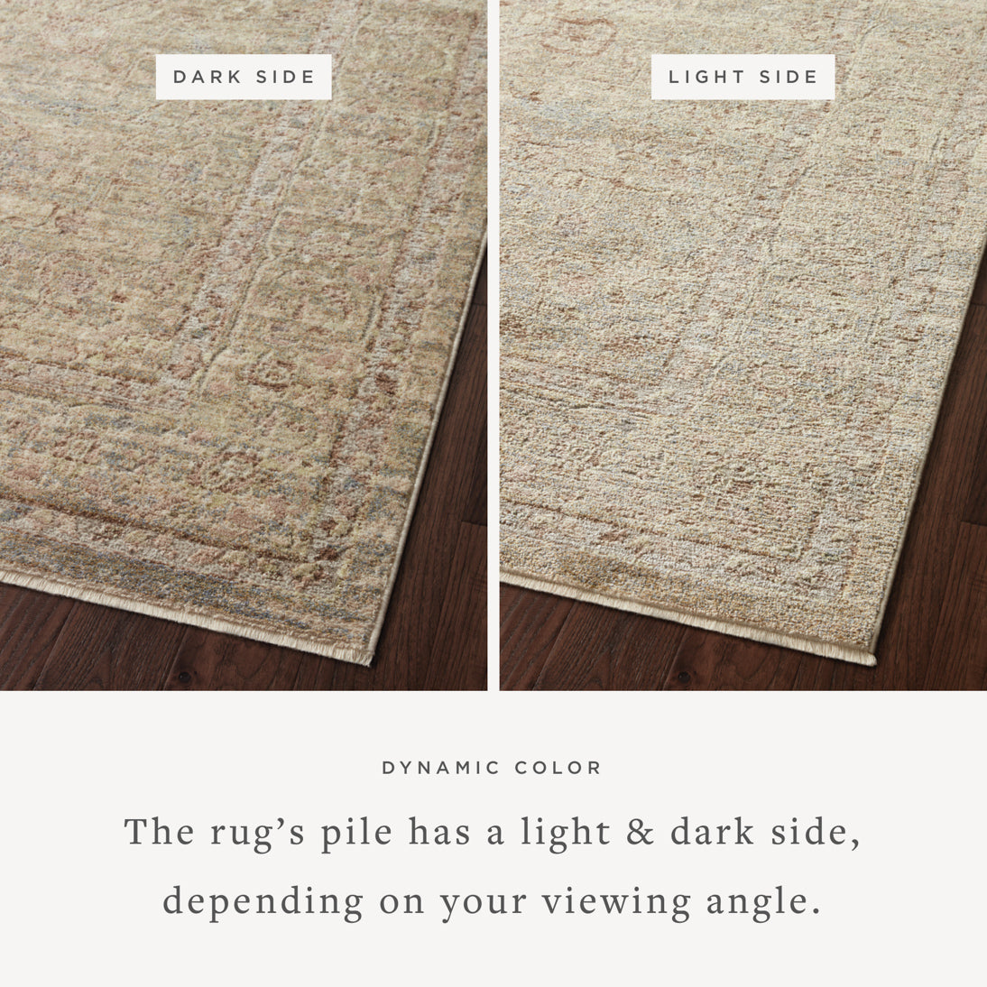 SNN-04 MOSS / NATURAL | Loloi Rugs