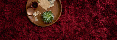 AllureShag Collection
