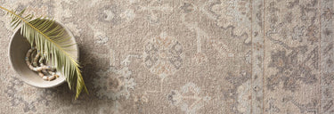 Cambridge Collection
