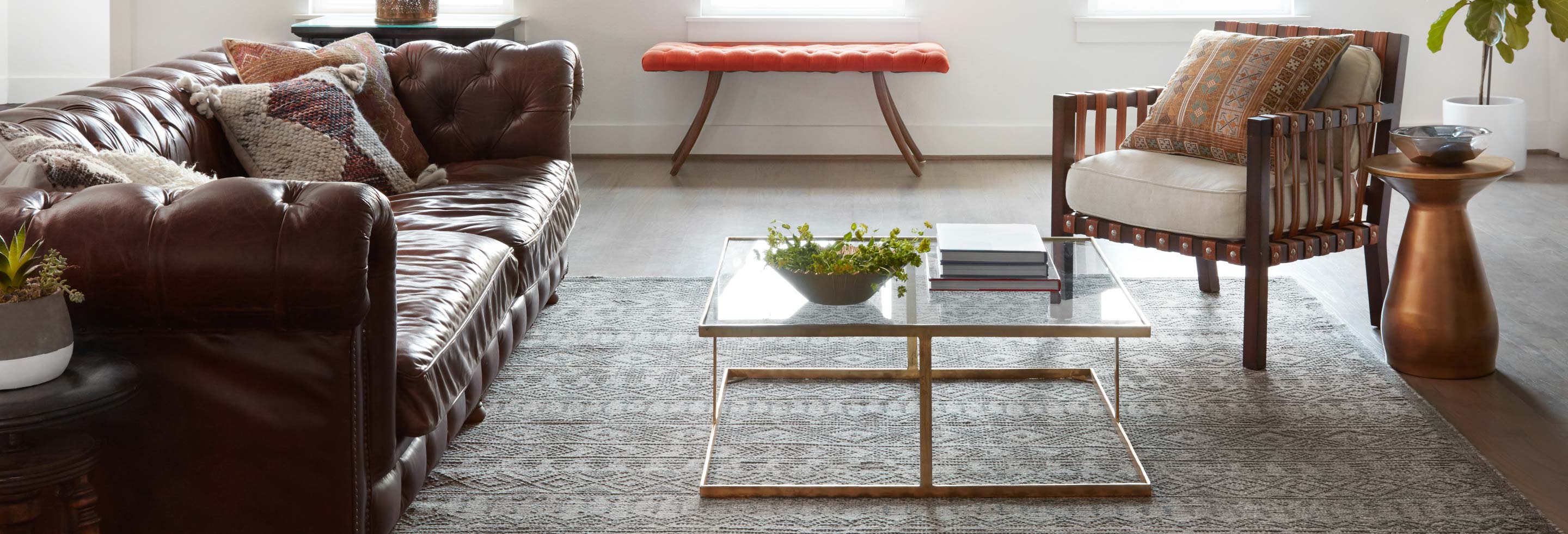 JAVA & Loloi Rugs