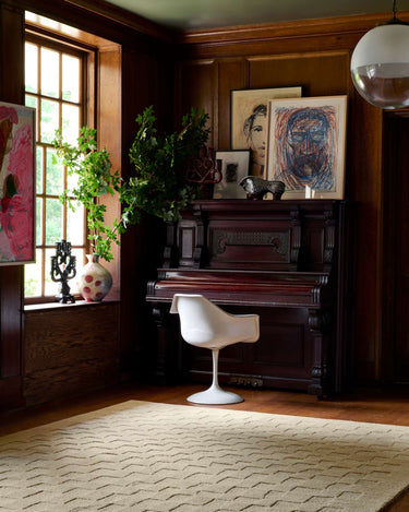 Craven Collection
