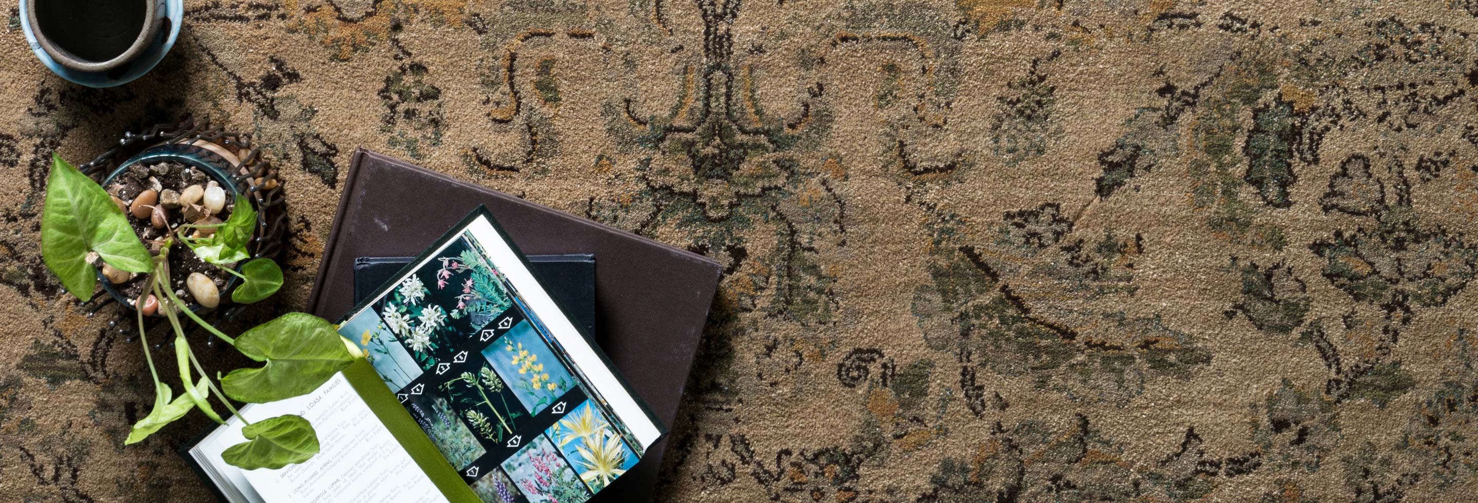 STANLEY & Loloi Rugs