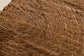 MOJAVE