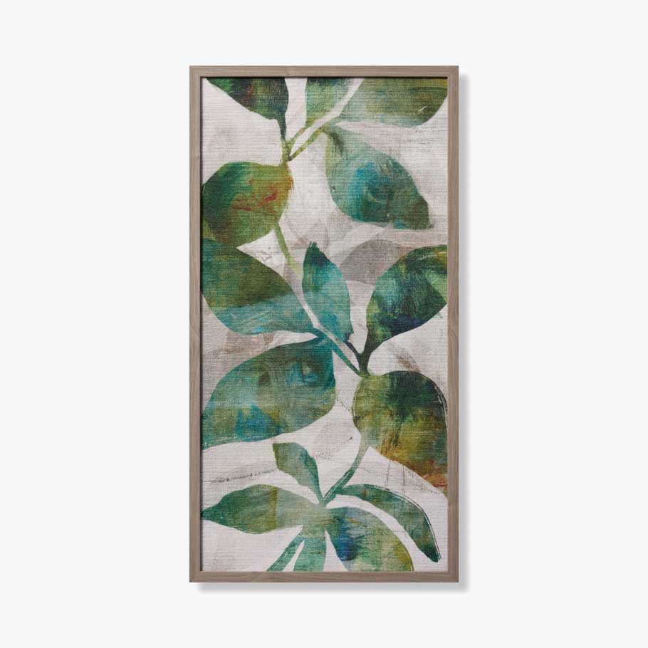 OLIVE CANOPY