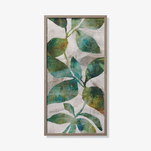 OLIVE CANOPY