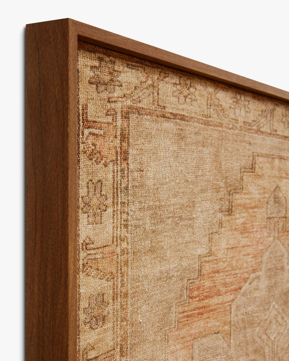 BARCELONA & Loloi Rugs