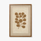 SPRIG & SOIL