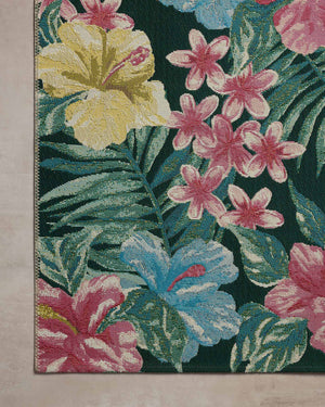 BOT-03 MIDNIGHT / MULTI