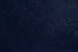PCJ0020 LIZA NAVY