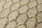 PLL0219 OLIVE