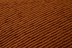 PLL0207 RUST