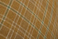 PCJ0045 ALDER GOLD