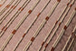 PLL00217 RUST