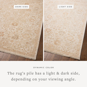 PLM-04 NATURAL / SPICE