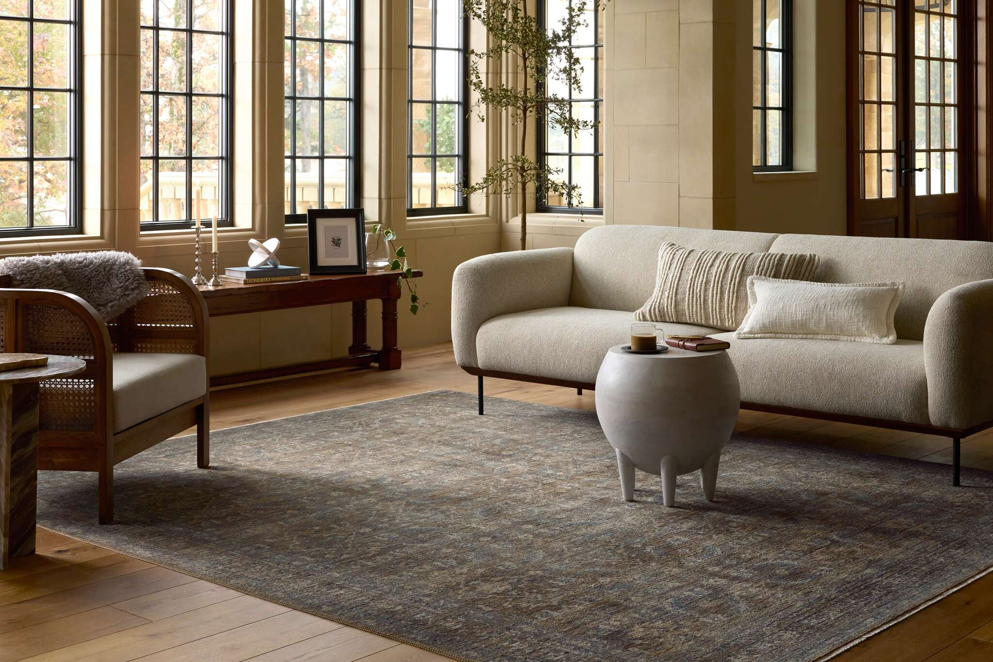 Loloi Rugs