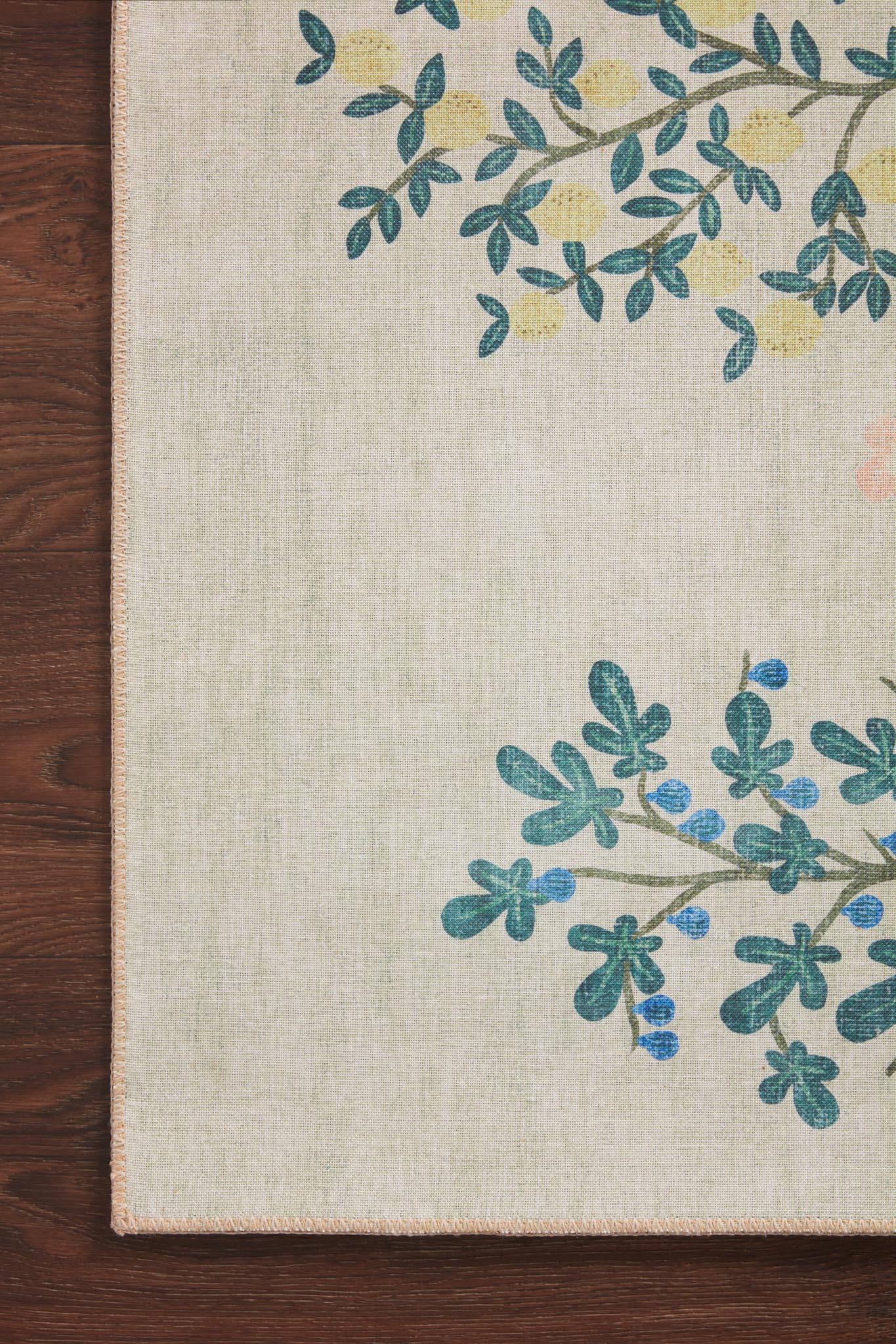 ATE-01 RP TOPIARY IVORY & Loloi Rugs