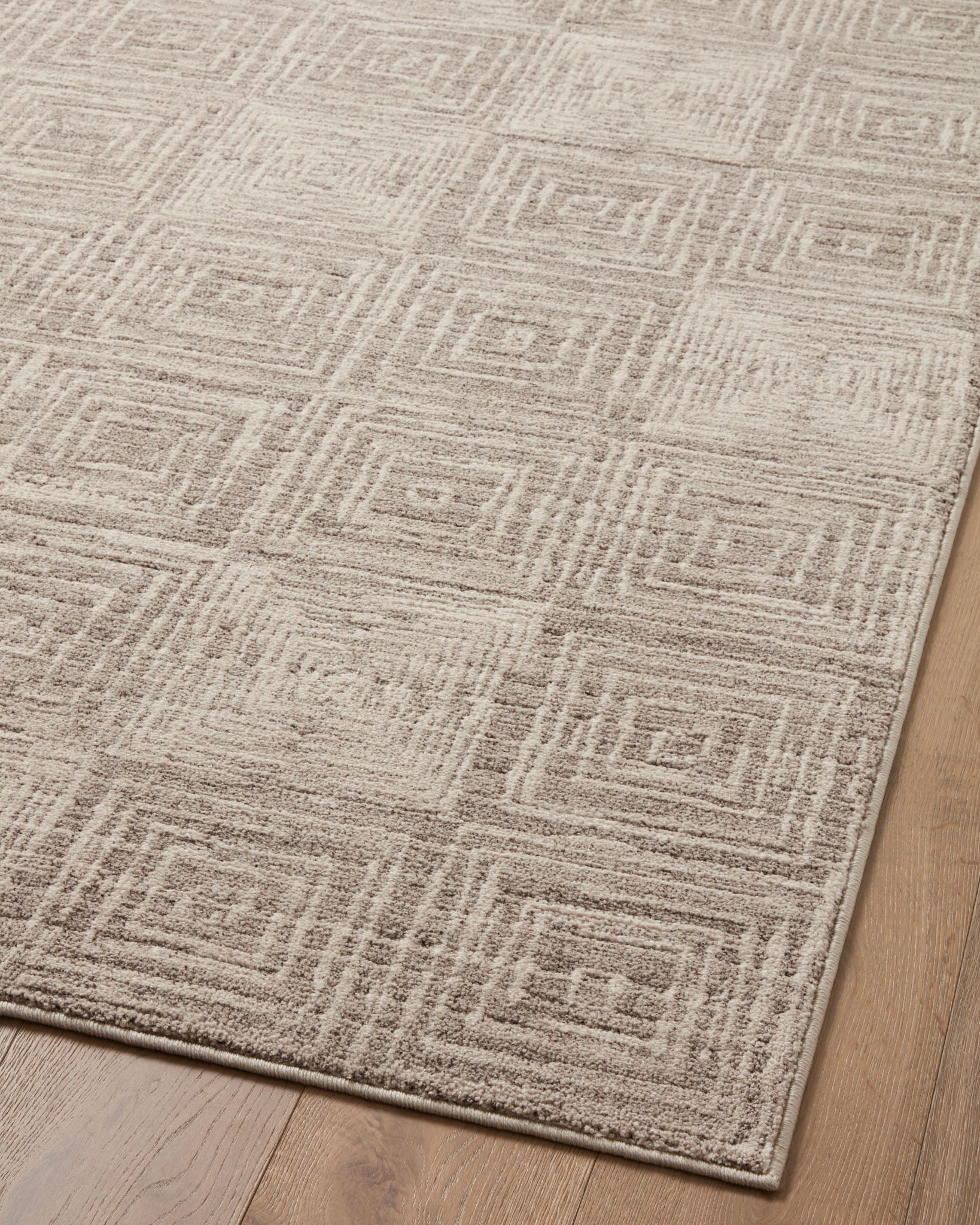 DAR-05 BEIGE / GREY & Loloi Rugs