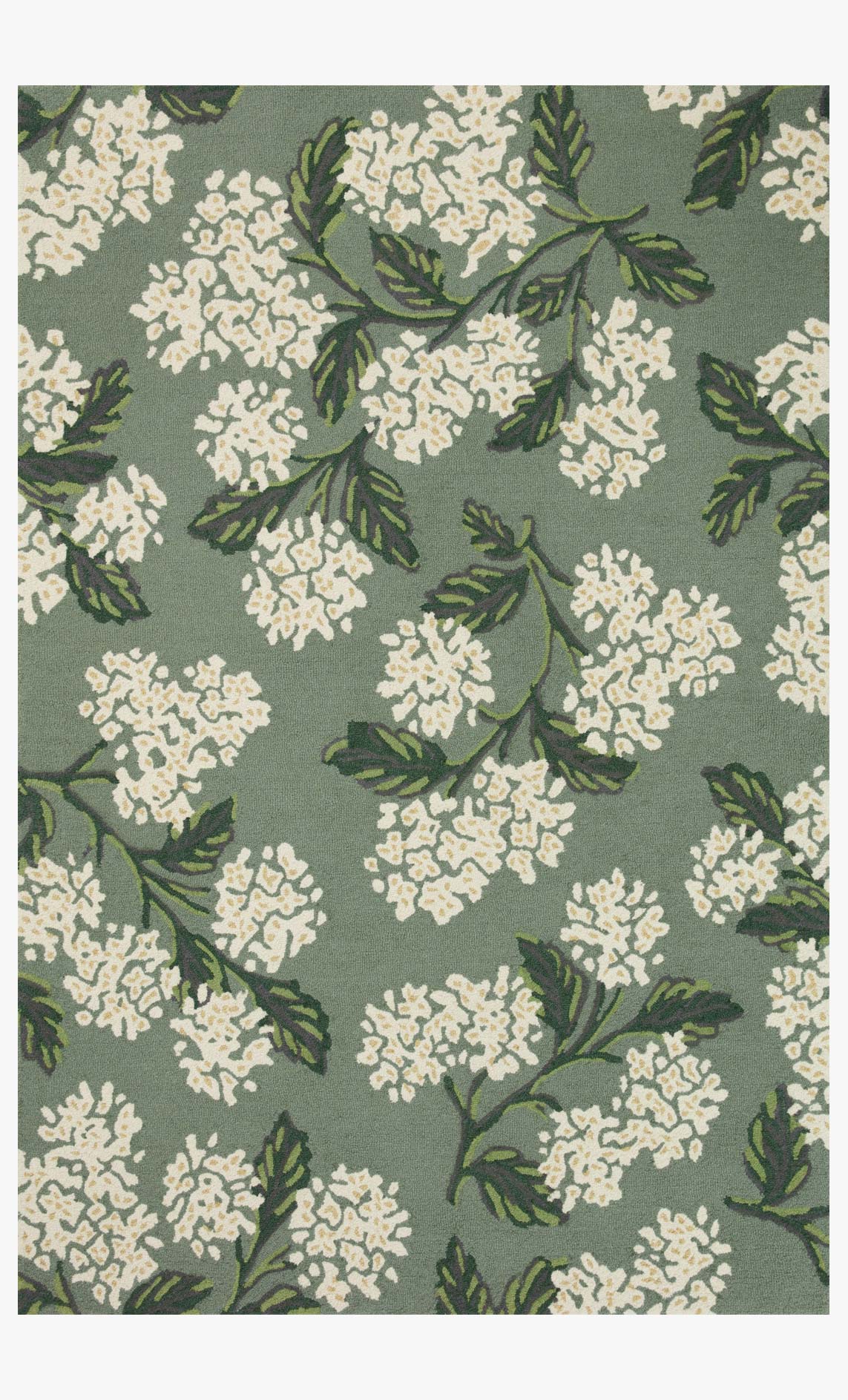 JOIE & Loloi Rugs